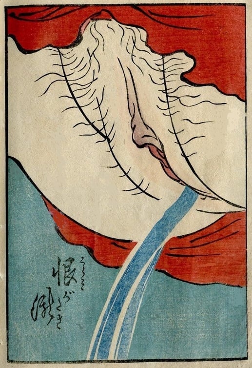 Close-up of peeing woman's vagina.