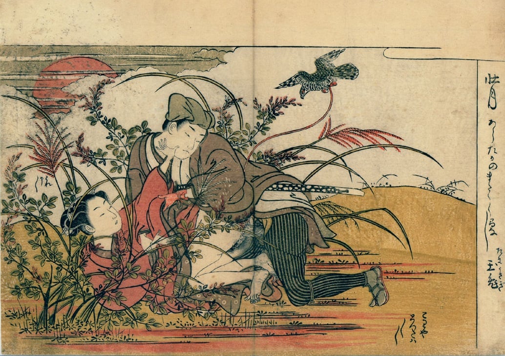 A falconer raping a young girl in the middle of grass and Japanese clover.