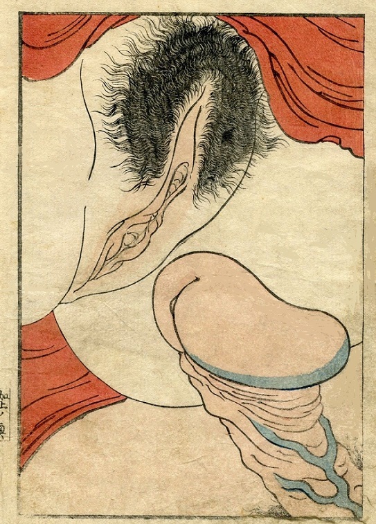 Genitals before penetration by Koikawa Shozan