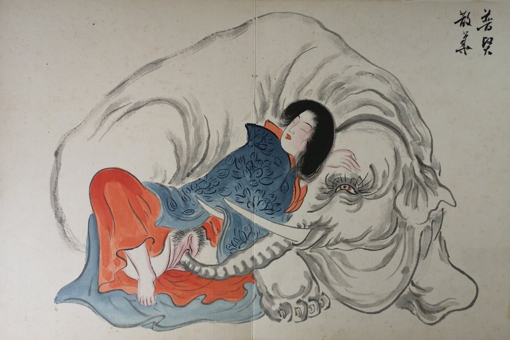 performing cunnilingus by lusty animals: A giant elephant is pleasing a young lady using his trunk and tusks