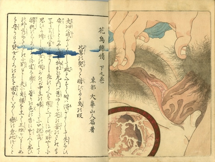 Utagawa Kunisada: Intercourse close-up including insert of interior of vagina