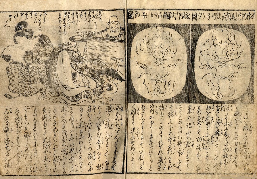 print featuring intimate couple and interior of vagina during intercourse