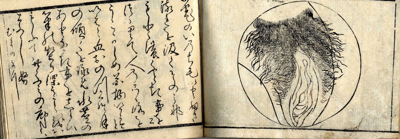 tsukioka settei: Depiction of a vagina close up in a circular frame.