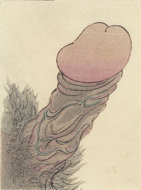 close-up of an erected penis