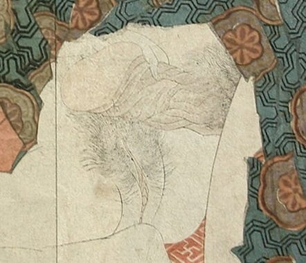Close up of the penetration by the monk