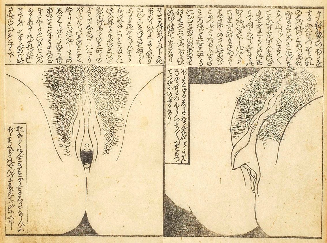 two vagina close ups